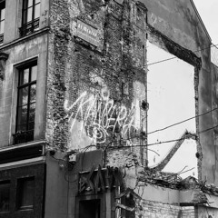 mental tribe mix 100% Vinyle