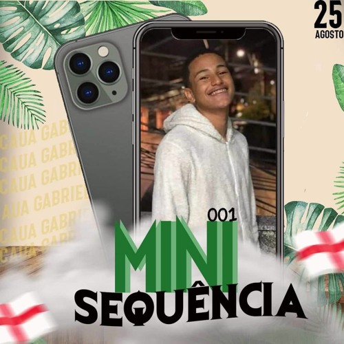 MINI SEQUENCIA  001 DJ CAUÃ DE SJM ( RITMO EMBRAZADO )2K20