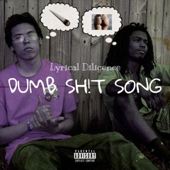 Dumb Shit Song - Lyrical Diligence