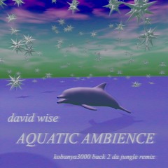 David Wise - Aquatic Ambience (KOBANYA3000 BACK 2 DA JUNGLE REMIX)