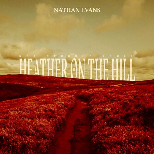 Nathan Evans - Heather On The Hill (Mat Trouble Remix)