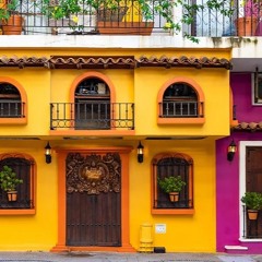 Mental Health Housing -Why binary numbers and viruses during covid was a terror attack?