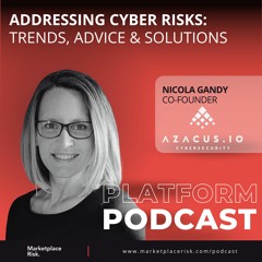 Addressing Cyber Risks: Trends, Advice & Solutions