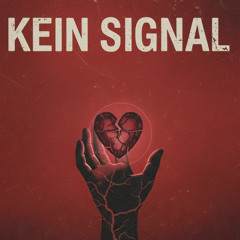 KEIN SIGNAL