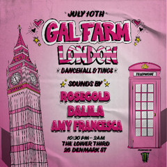 Gal Farm Promo Mix | 2025 Summer Dancehall ft. Shenseea, Ayetian, Valiant, Armanii |
