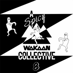 A Spicy Wakaan Collective 8