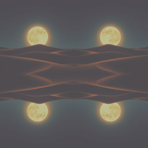 Whispers of the Desert Moon