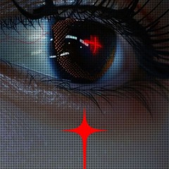 13 YEARS CC ANNIVERSARY b2b Animar