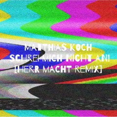 Schrei mich nicht an!  (Herr Macht Remix)