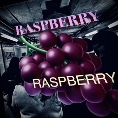 raspberry bash 21