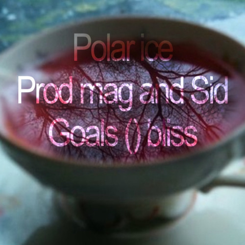 Polar Ice