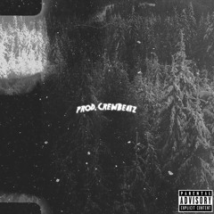 2k20 Winter Samples 1/1 (prod. CrewBeatz + Splur GanG)