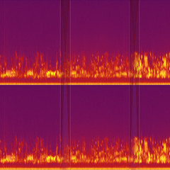 Nico Ditch Dawn Chorus - condensed
