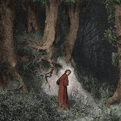 La Selva oscura