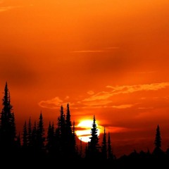 When The Sun Goes Down