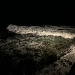 sqwore - аквариум w/guitar