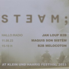 Steam01: Jan Loup B2B Maquis son Sistém B2B Melocoton 11/08/2023