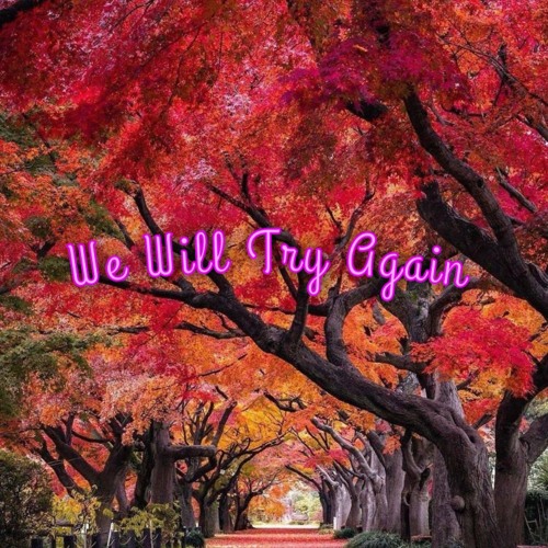 We Will Try Again