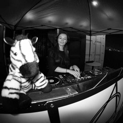 2023 - 06 - 03 UBK Bass Coast Pre-party w/ The Librarian