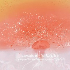 Lambda Λ - Sensible