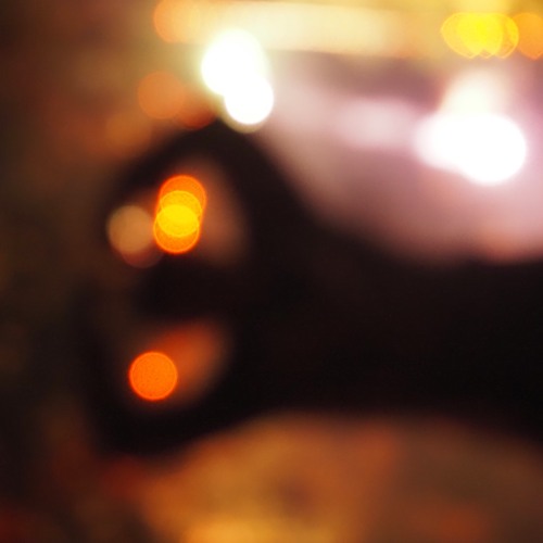 Wunderbunt Technicolored