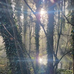 Mystic M - Crossroads