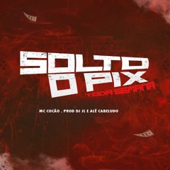 MC COCÃO - SOLTO PIX TODA SEMANA [ DJS JL & ALÊ CABELUDO ]
