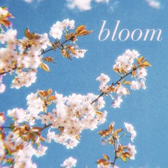 Bloom
