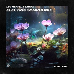 Léo Menfel & Larian - Electric Symphonie