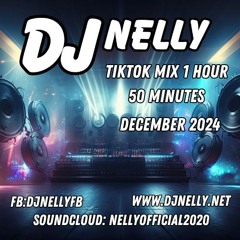 DJ Nelly Tiktok Mix 2 December 2024