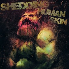 Devin Townsend - Dead Head (Vocal Cover)