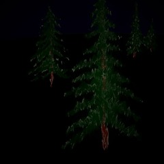 It is dark inside the forest