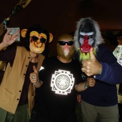 3 Wise Monkeys Live at Mo:dem Festival 2019 Hive Stage