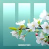 Amonita - Distance