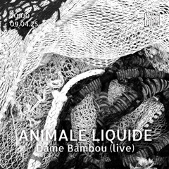 ANIMALE LIQUIDE - Dame Bambou [09.04.25]