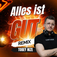 SOPHIA - Alles ist g.u.t. (TOBEY NIZE REMIX)