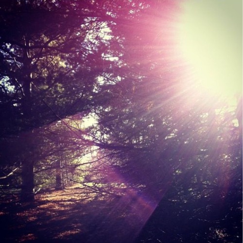 para mi es imposible odiarte