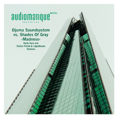Madness (Djuma Soundsystem Mix)