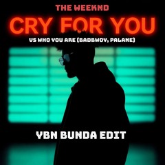 The Weeknd vs Badbwoy - Cry For You vs Who You Are (YBN Bunda Afro House Edit) (Vocal Filtered)