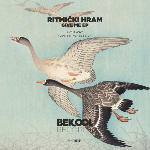 Ritmicki Hram - Give Me Your Love (Original Mix)