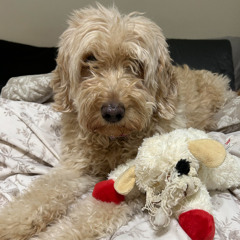 out the bed (7spellz)