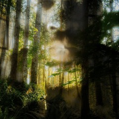 JungleBrotha-Brand New Day.mp3