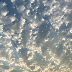 Final Mix IV: Someday the dream will end [Goodbye 2020 Mix]