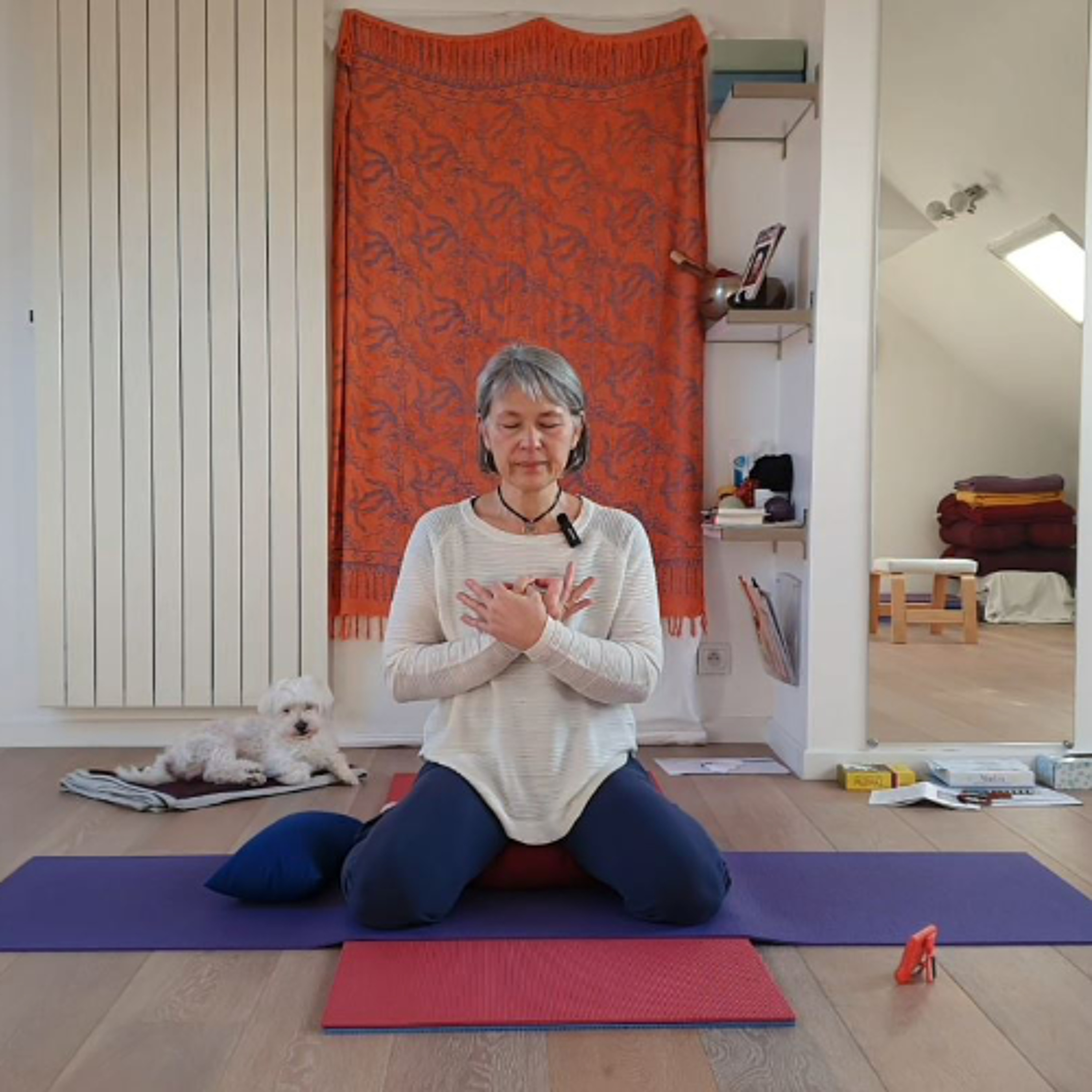 LE CORPS EN YOGA - L'ouverture du cœur dans anahata chakra (mardi 6 janvier 2026) episode artwork