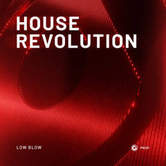 House Revolution (Extended Mix)