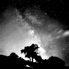 ante meridiem