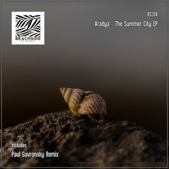 Aradya - The Summer City (Original Mix)