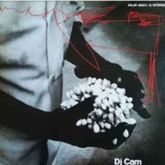 01-DJ Cam - THE ABSTRACT ERROR COLLECTION