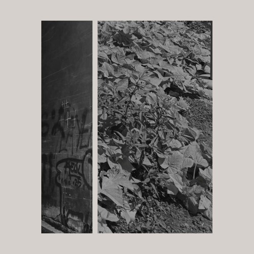 Unnamed Feeling EP - Unnamed Space Projects