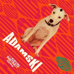 Adamski Ft Seal - Killer (Kevin Instinct Remix)